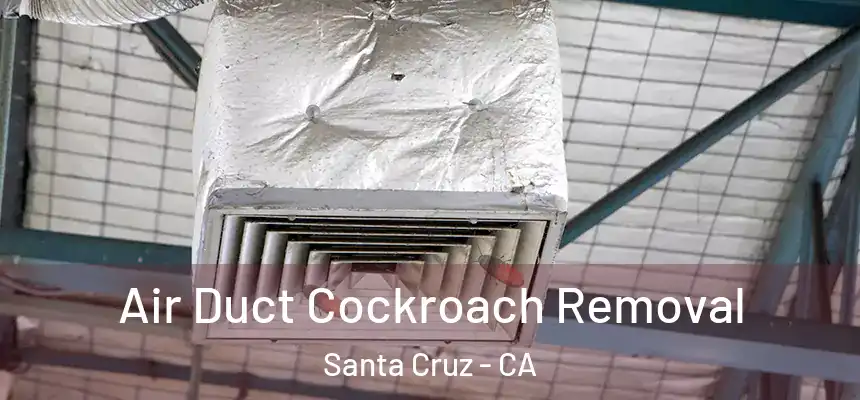 Air Duct Cockroach Removal Santa Cruz - CA