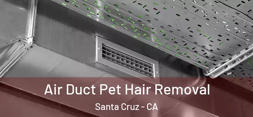  Air Duct Pet Hair Removal Santa Cruz - CA