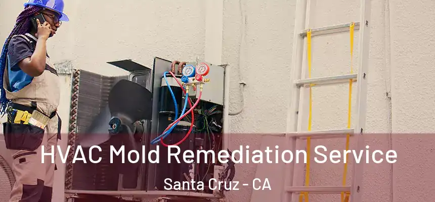 HVAC Mold Remediation Service Santa Cruz - CA