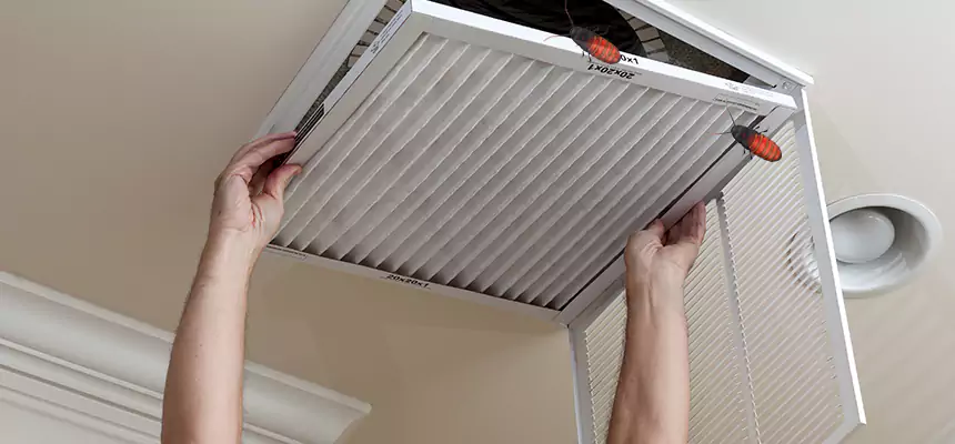 Preventive Cockroach-Proofing for Ducts in Santa Cruz