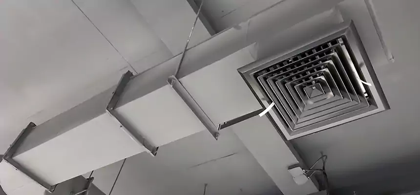 Our Pest Removal From Ducts Services in Santa Cruz, CA