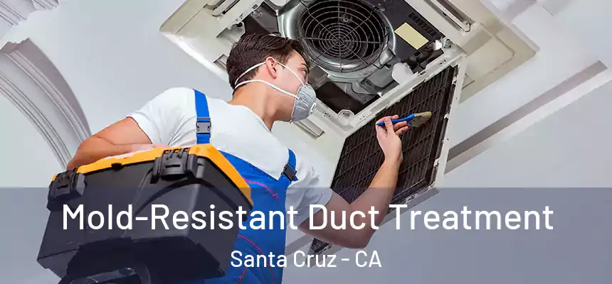  Mold-Resistant Duct Treatment Santa Cruz - CA