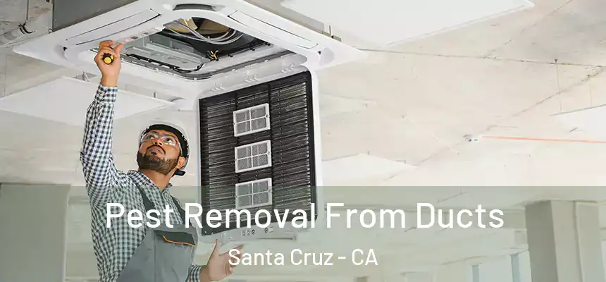 Pest Removal From Ducts Santa Cruz - CA