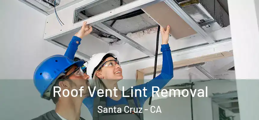 Roof Vent Lint Removal Santa Cruz - CA