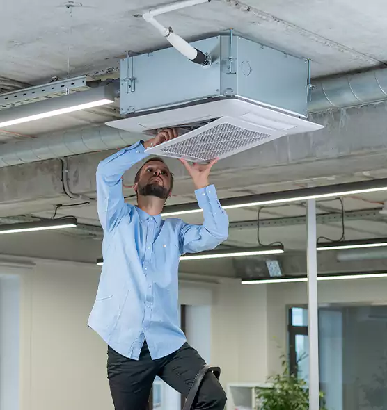 Advanced Rodent Droppings In Vents in Santa Cruz, CA