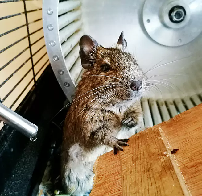 Why Homeowners & Businesses Trust Us Santa Cruz, CA