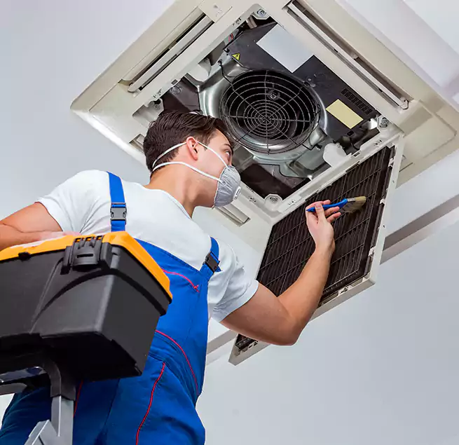 Why Homeowners & Businesses Trust Us in Santa Cruz, CA