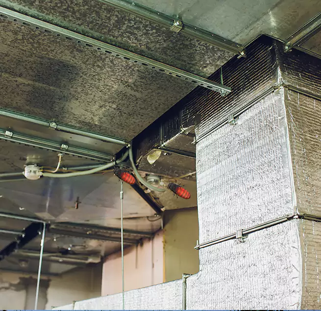 Why Homeowners & Businesses Trust Us Santa Cruz, CA?